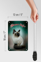 Blechschild Katze 12x18cm Birma Katze 1925 Wanddeko