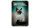 Blechschild Katze 12x18cm Birma Katze 1925 Wanddeko