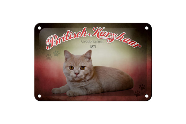 Blechschild Katze 18x12cm Britisch Kurzhaar Großbritannien