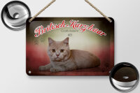 Blechschild Katze 18x12cm Britisch Kurzhaar Großbritannien