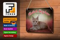 Blechschild Katze 18x12cm Britisch Kurzhaar Großbritannien