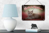 Blechschild Katze 18x12cm Britisch Kurzhaar Großbritannien