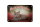 Blechschild Katze 18x12cm Britisch Kurzhaar Großbritannien