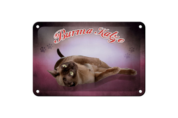 Blechschild Katze 18x12cm Burma Katze