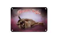 Blechschild Katze 18x12cm Burma Katze