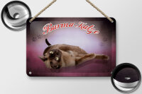 Blechschild Katze 18x12cm Burma Katze