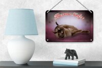Blechschild Katze 18x12cm Burma Katze