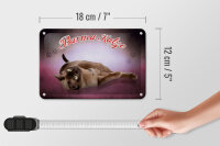 Blechschild Katze 18x12cm Burma Katze