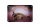 Blechschild Katze 18x12cm Burma Katze