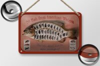 Blechschild Fisch 18x12cm 39 Fish from american Waters