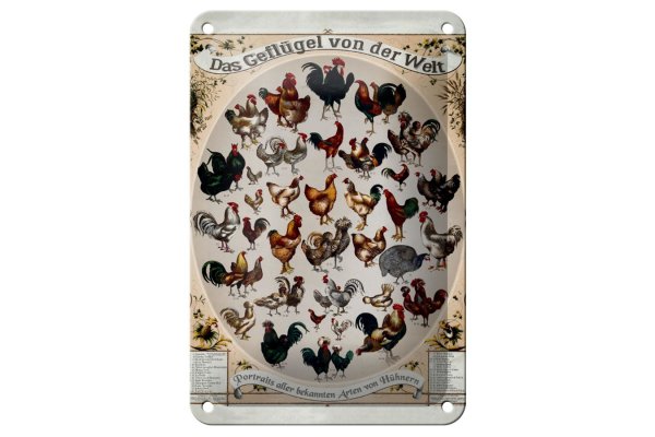 Blechschild Geflügelart 12x18cm das Geflügel von der Welt
