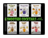 Blechschild Alkohol 40x30cm 6 smoothie cocktails recipes