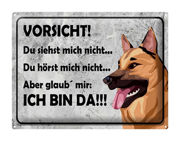 Blechschild Spruch 40x30cm Vorsicht Hund Du siehst mich nicht