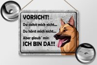 Blechschild Spruch 40x30cm Vorsicht Hund Du siehst mich nicht