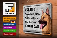 Blechschild Spruch 40x30cm Vorsicht Hund Du siehst mich nicht