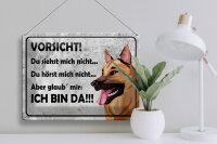 Blechschild Spruch 40x30cm Vorsicht Hund Du siehst mich nicht