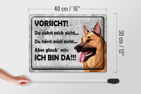 Blechschild Spruch 40x30cm Vorsicht Hund Du siehst mich nicht