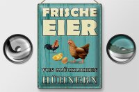 Blechschild Spruch 30x40cm frische Eier glückliche...
