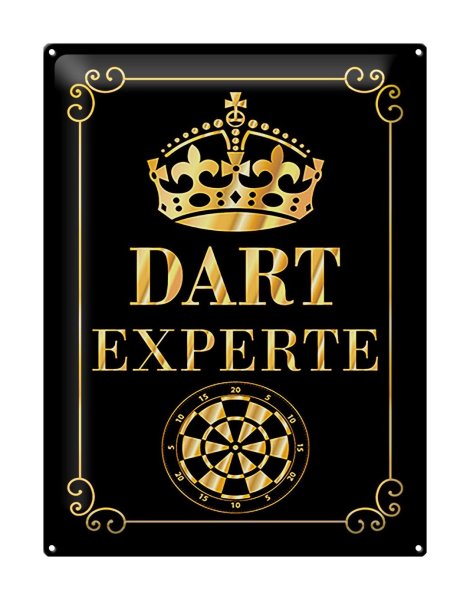 Blechschild Spruch 30x40cm Dart Experte Krone