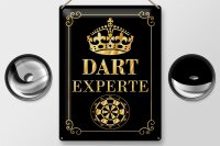 Blechschild Spruch 30x40cm Dart Experte Krone