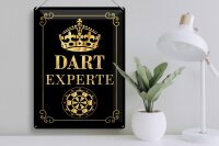 Blechschild Spruch 30x40cm Dart Experte Krone