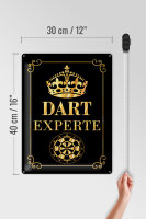Blechschild Spruch 30x40cm Dart Experte Krone