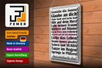 Blechschild Spruch 30x40cm genieße die Sonne sei einfach du