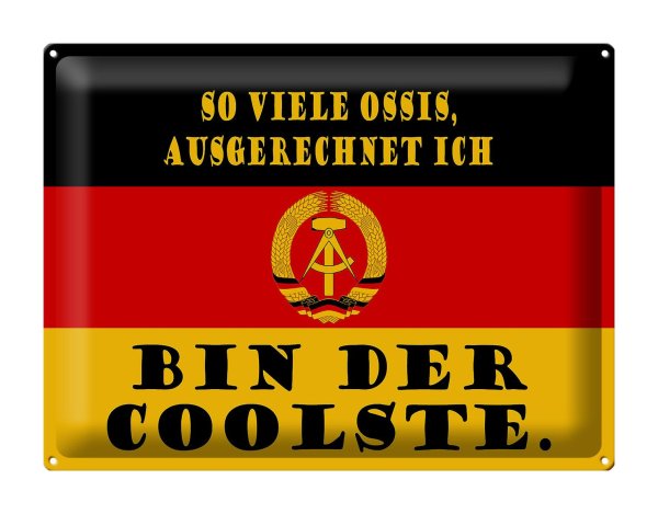 Blechschild Spruch 40x30cm so viele Ossis bin der coolste