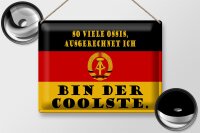 Blechschild Spruch 40x30cm so viele Ossis bin der coolste