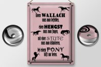 Blechschild Spruch 30x40cm Pferde Wallach Hengst Pony Stute