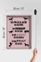 Blechschild Spruch 30x40cm Pferde Wallach Hengst Pony Stute