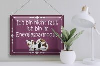 Blechschild Spruch 40x30cm Katze ich bin nicht faul bin im