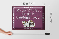 Blechschild Spruch 40x30cm Katze ich bin nicht faul bin im