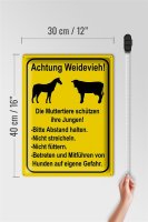 Blechschild Hinweis 30x40cm Achtung Weidevieh nicht füttern