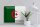 Blechschild Flagge Algerien 40x30cm Flag of Algeria