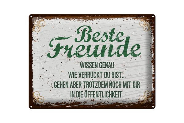 Blechschild Spruch 30x40cm Beste Freunde wissen grün braun