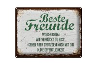 Blechschild Spruch 30x40cm Beste Freunde wissen grün braun