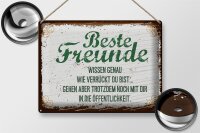 Blechschild Spruch 30x40cm Beste Freunde wissen grün braun