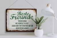 Blechschild Spruch 30x40cm Beste Freunde wissen grün braun