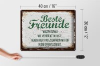 Blechschild Spruch 30x40cm Beste Freunde wissen grün braun