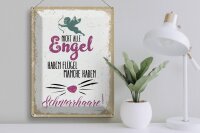 Blechschild Spruch Nicht alles Engel haben Flügel 30x40cm