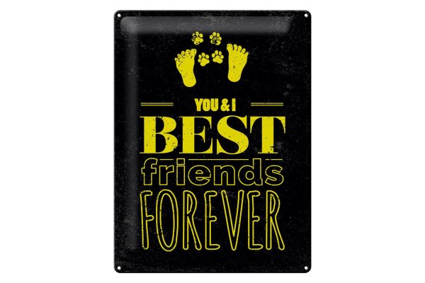 Blechschild Spruch Freunde You I best friends forever 30x40cm