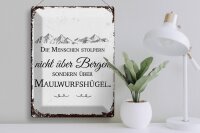 Blechschild Spruch Menschen stolpern nicht über Bergen 30x40cm