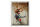 Blechschild Reise 30x40cm Dänemark verwelkte Blumen in Vase
