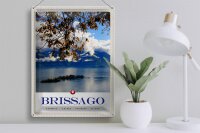 Blechschild Reise 30x40cm Brissago Schweiz Seeblick Natur