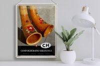 Blechschild Reise 30x40cm Confoederatio Helvetica Alphorn Urlaub