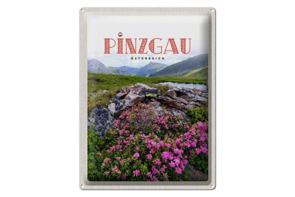 Blechschild Reise 30x40cm Pinzgau Österreich Blumen Natur Berge