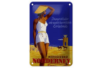Blechschild Spruch 12x18cm Urlaub Nordseebad Norderney