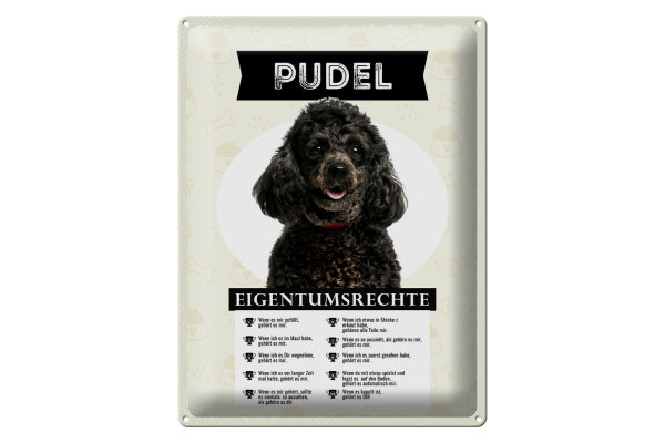 Blechschild Spruch 30x40cm Pudel Eigentumsrechte Geschenk