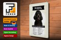 Blechschild Spruch 30x40cm Pudel Eigentumsrechte Geschenk